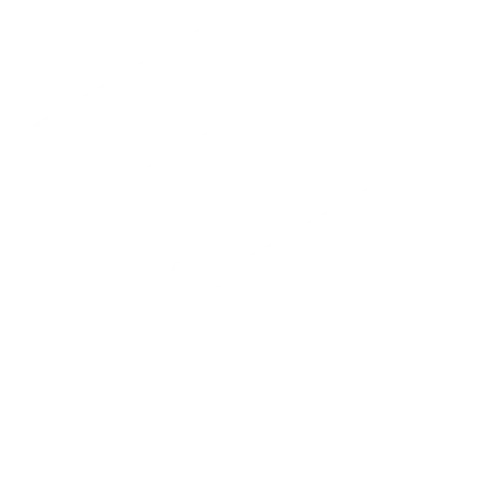 Vrcave Logo White